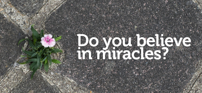 doyoubelieve_miracles